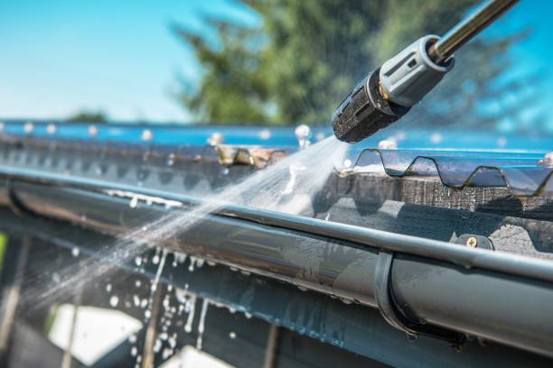 Best Roof Pressure Washing  in Millville, DE