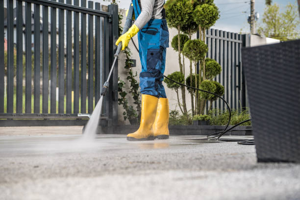 Best Concrete Pressure Washing  in Millville, DE