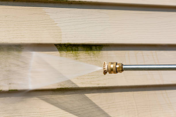 Best Roof Pressure Washing  in Millville, DE